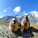 BORMIO (SO) - Hotel Ginepro